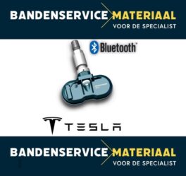 Italsensor Blue (BTE) Tesla – Clamp-in ventiel Zilver