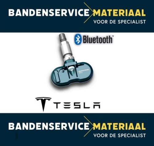 Italsensor Blue (BTE) Tesla - Clamp-in ventiel Zilver