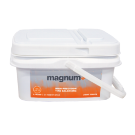 MAGNUM + Plastic bak met 24 zakjes (185g)
